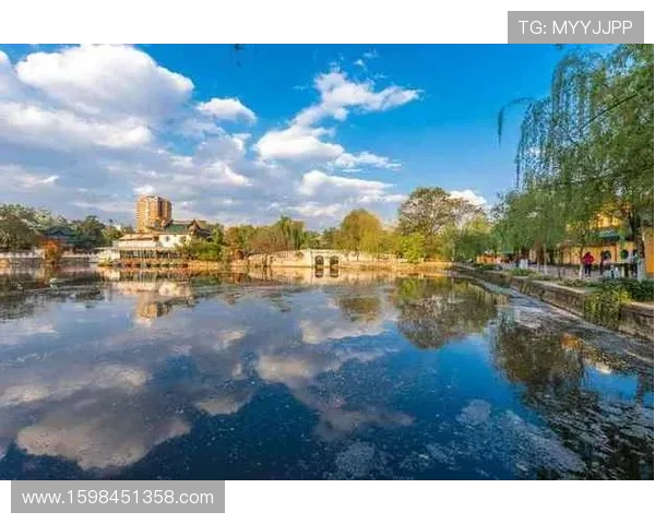 如何快速找到可靠的ag真人国际厅网址确保游戏安全和资金保障的详细指南