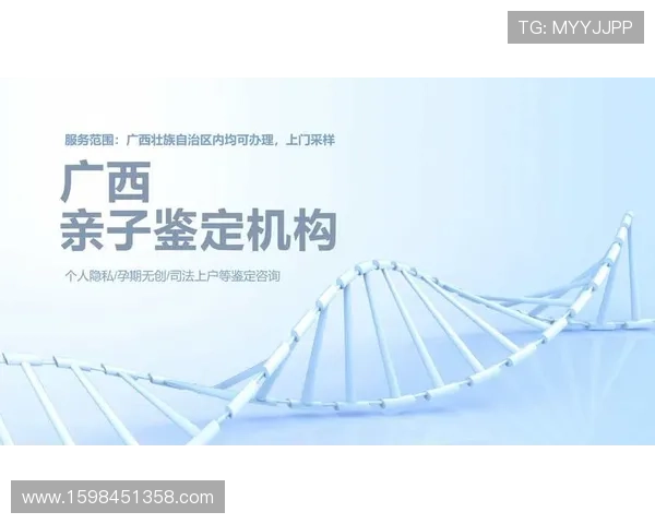 K8电子注册流程详细步骤及常见问题解答指南 K8电子注册流程详细步骤及常见问题解答指南