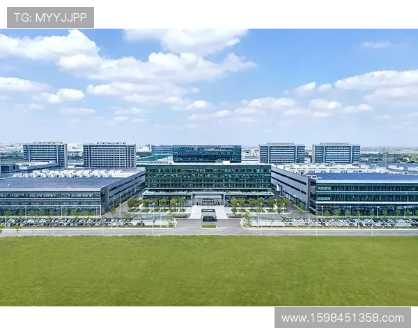 凯发体育集团网址查询的重要性及最新官方入口地址推荐